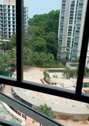 The Tropica (D18), Condominium #461328171